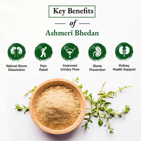 Ashmeri Bedan - Image 3