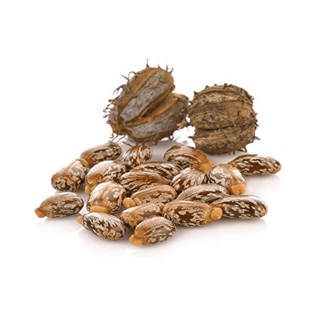Arand - Rama Herbs